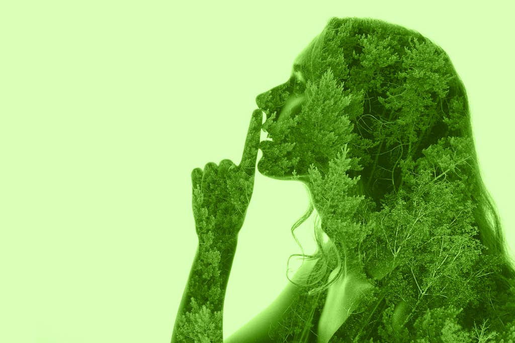 When companies go quiet on climate, how do you spot the good ones?