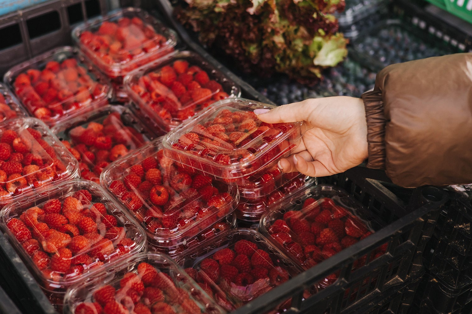 berries in containers at supermarket