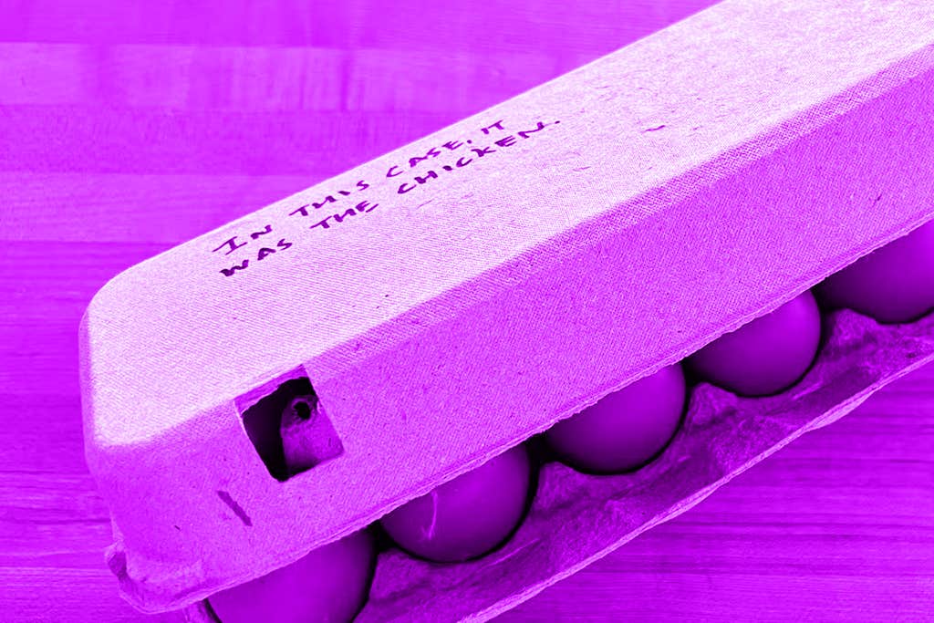 Do labels like ‘cage-free’ mean eggs are more sustainable?